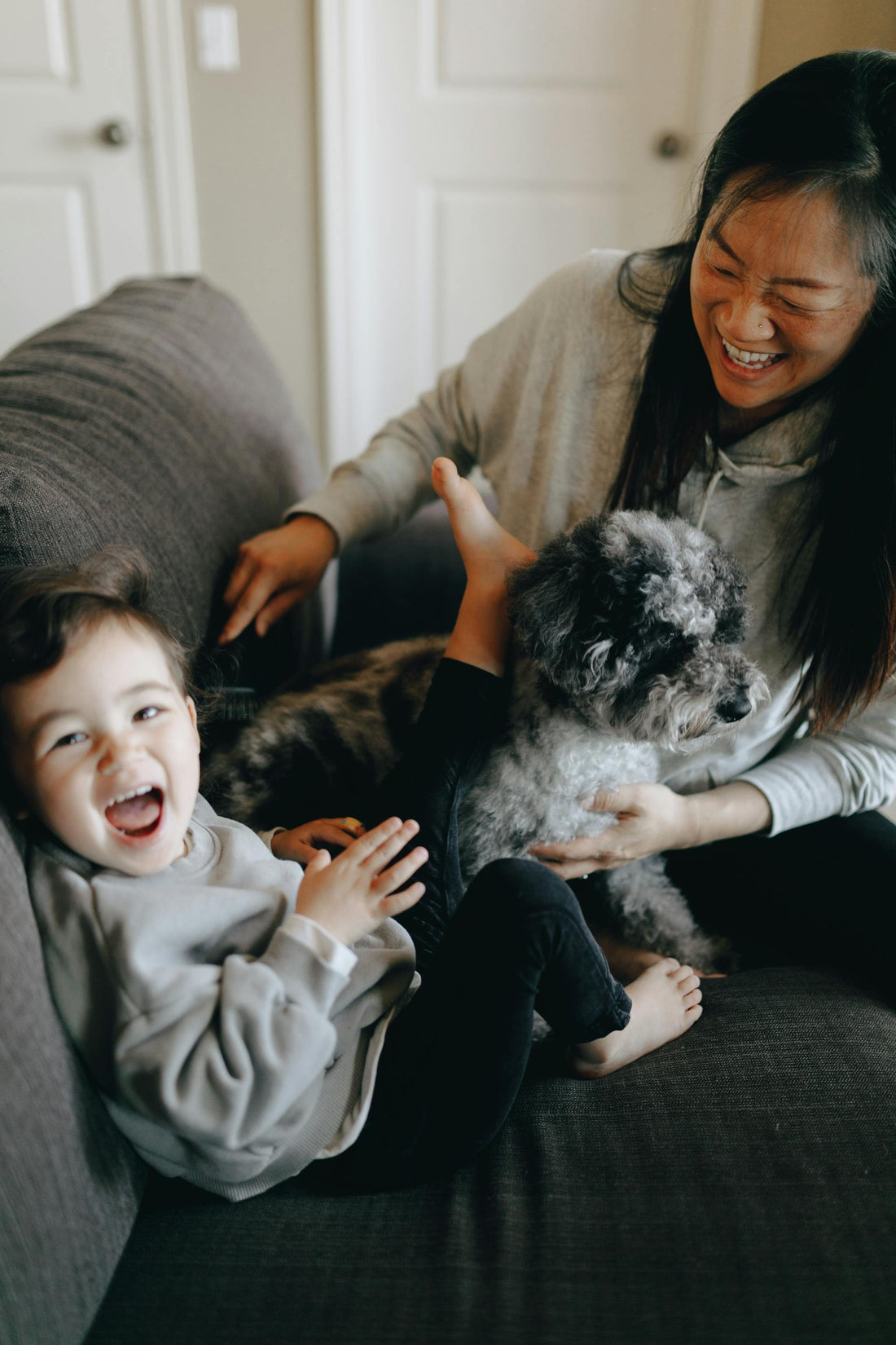 Supporting Mobility and Joint Health in Dogs: What Every Owner Should Know