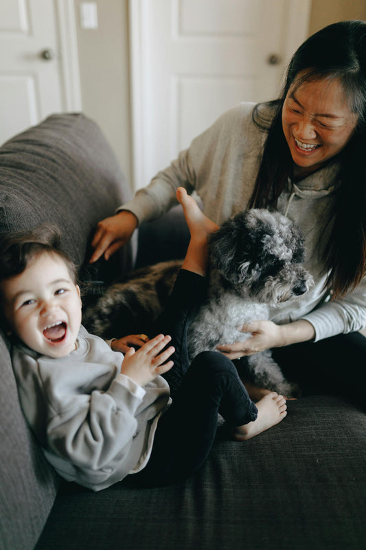 Supporting Mobility and Joint Health in Dogs: What Every Owner Should Know