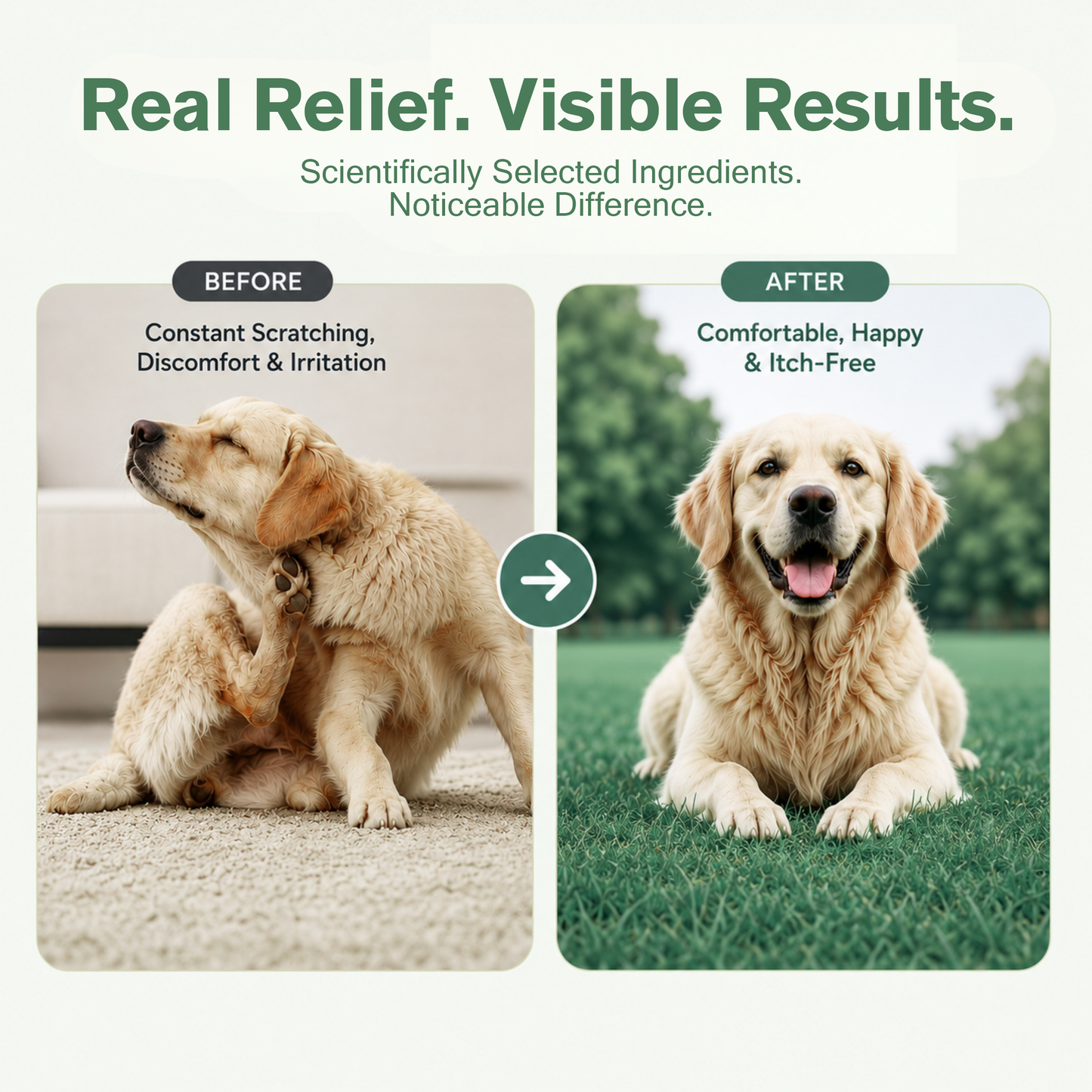 Allergy Defense Soft Chews