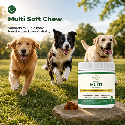 Canine Multi Soft Chews