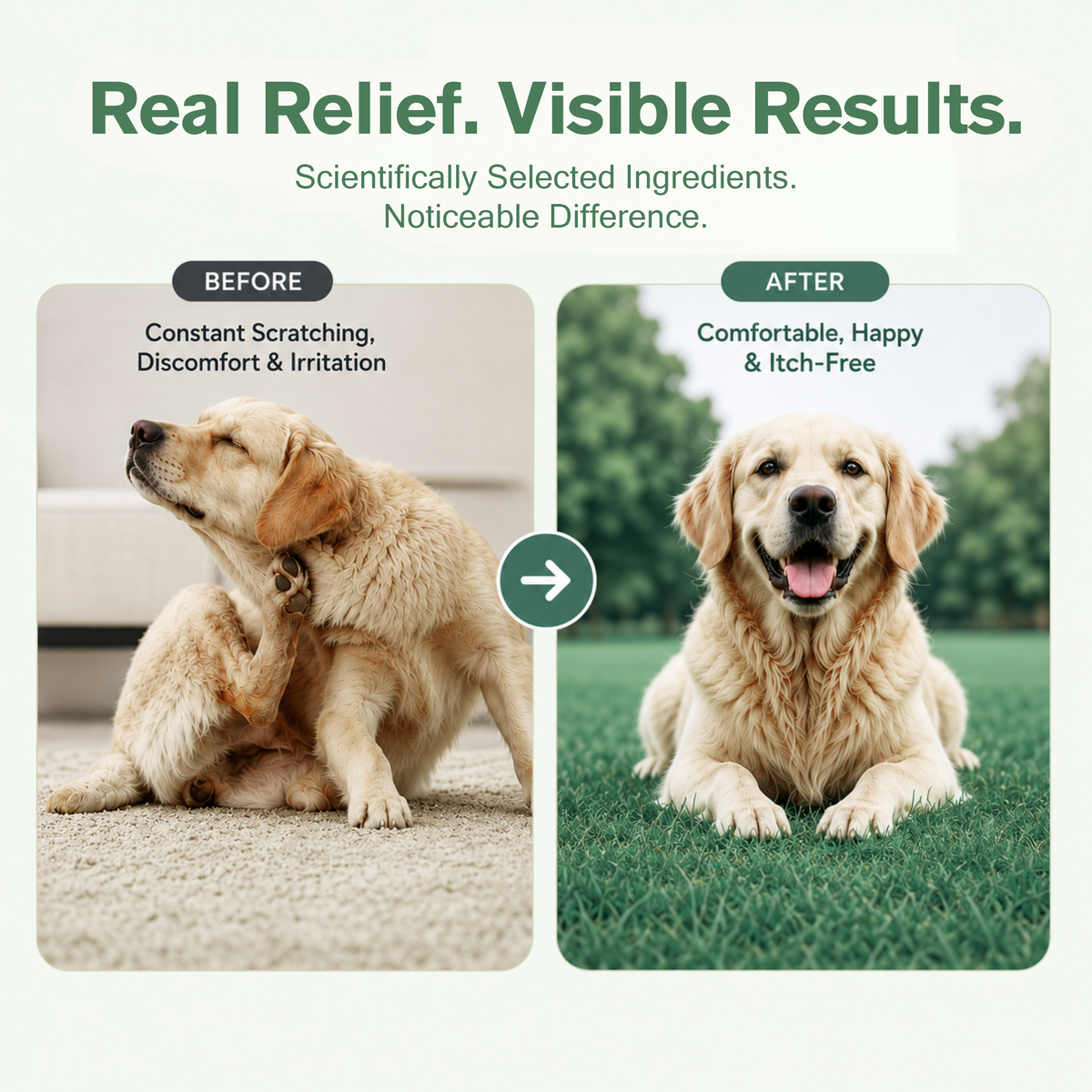 Allergy Defense Soft Chews